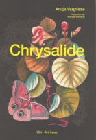 Chrysalide