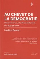 Au chevet de la démocratie
